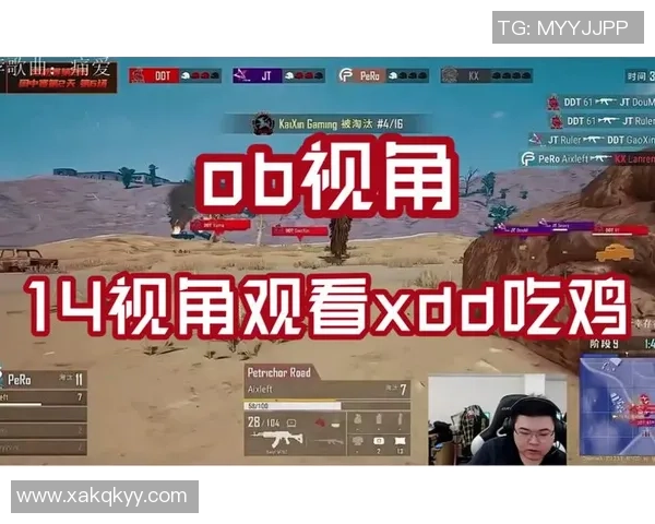 Aixleft 绝地求生游戏技巧分享与实战经验解析全面攻略